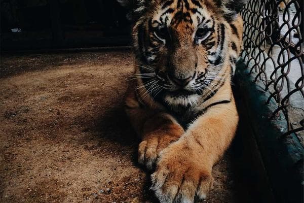 A serene beach in Thailand