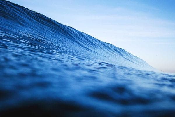 Walking Through Nidhivan – The Mystical Stories of Krishna